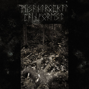 Misantropical Painforest